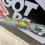 Tangerine Dream Pre Roll